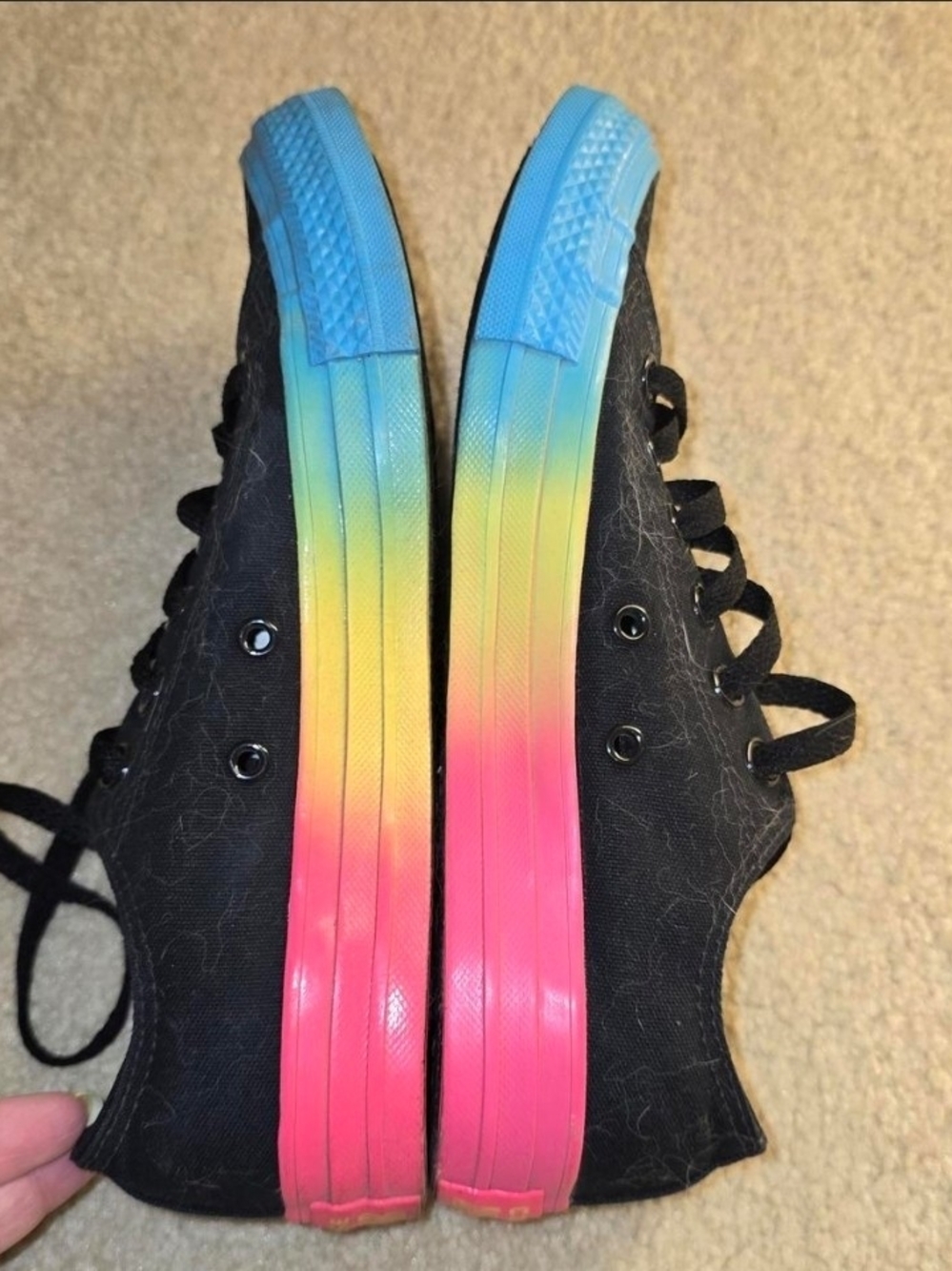 Converse Black Canvas Sneaker with Teal Insole